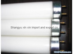 Fluorescent lamp tube图1