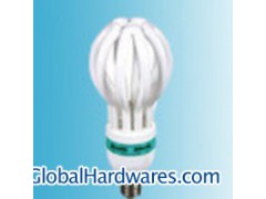 Energy Saving Bulb (R50)图1
