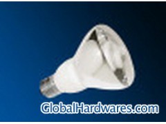 Energy Saving Lamp (GG4R80)图1
