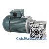 TPG WORM GEAR MOTOR