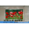 P8mm Indoor LED Display