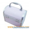 carring jewellery case