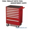 TOOL TROLLEY WITH TOOL ASSORTMENT 232PC