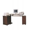 Deluxe Computer Desk