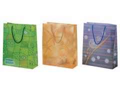 Shopping bags  CP2205图1