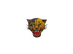 Puma USB Flash  Disk,2/4/8/16GB Available图1