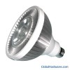LED PAR Light 30(spotlight)