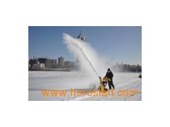 Snow Thrower Test图1