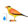 Bird Wireless Doorbell 2