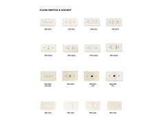 Flush Switch & Socket图1