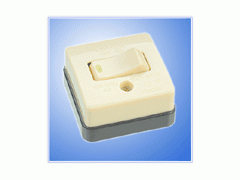 Switch (WS-3001)图1
