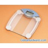 BODY FAT/HYDRATION MONITOR SCALE