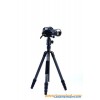 DIDEA Tripod K124B32