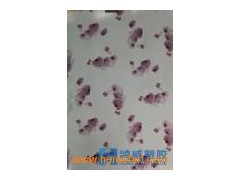 No Glue Static Glass Film (HW-P013P)图1