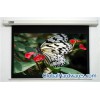 High Quality Motorized Projection Screen