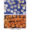 Supply synthetic diamond and CBN powders