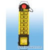 offer radio remote control (C1-12PB)