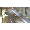Heat Resistant Conveyor Belt