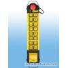 offer radio remote control (C1-16PBS)