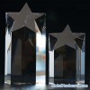 crystal star award