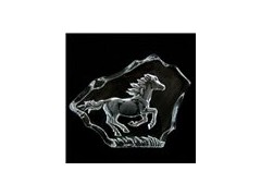 Crystal Iceberg (horse)图1