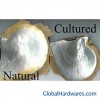 Sell Sell Hand-Made Natural Shell Crafts