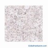Sell Granite Tile