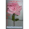 plastic rose
