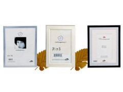 PHOTO11图1