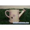 Medium Watering Can