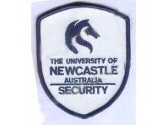 Embroidered patch 10图1