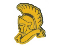 Embroidered patch with towelling图1