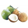 Coconut (Fresh & Dried) BETRIMEX-02
