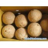 Fresh Coconut