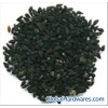 Nigella Sativa