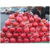 100% Pomegranate Juice -2