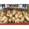 Semi-Air Dried Ginger (4)