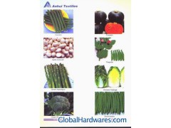 vegetables图1