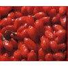 Organic Goji Berry Dry Fruit / Chinese Wolfberry