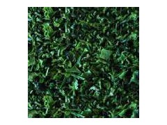 Dehydrated Green Bell Pepper图1