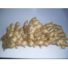 Semi-Air Dried Ginger (2)