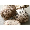 Organic Dried Shiitake Mushroom