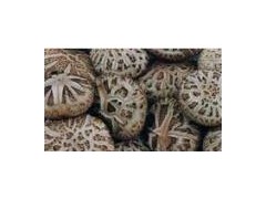 Dried Shiitake Mushroom图1