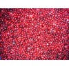 IQF Lingonberry