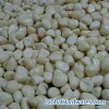 IQF garlic clove