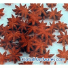 Aniseed (star anise)
