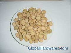 board beans图1