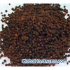 Black pepper grain
