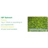 IQF spinach
