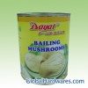 Bailing Mushroom